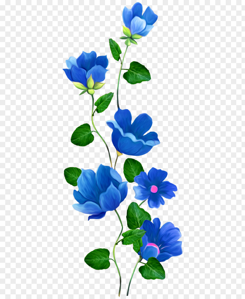 Flower Watercolour Flowers Blue Rose Border PNG