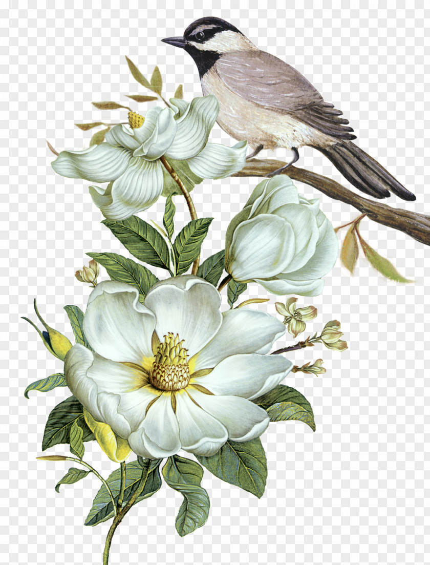 Free Hand-painted Flowers And Birds Decorative Patterns Pixel Computer File PNG