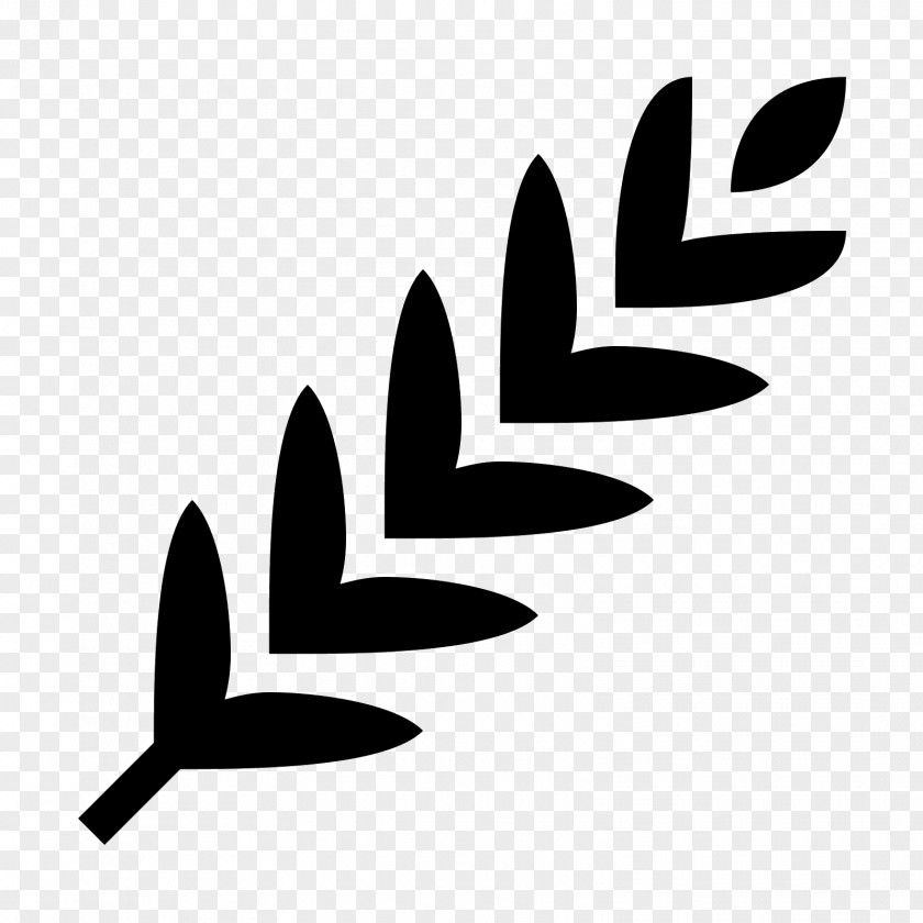 Barley Leaf Shape Line Plant Stem PNG