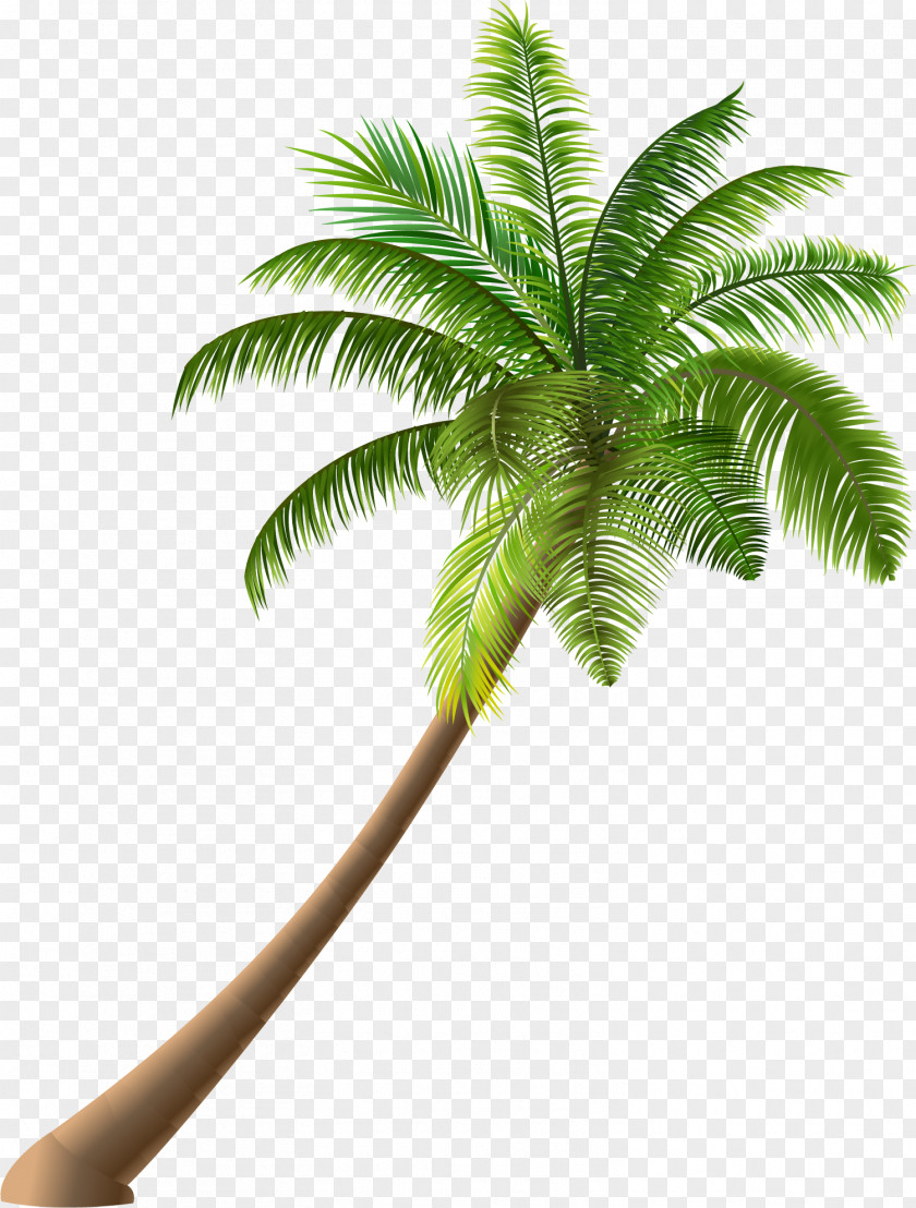 Green Simple Coconut Trees Cartoon Summer Royalty-free Illustration PNG