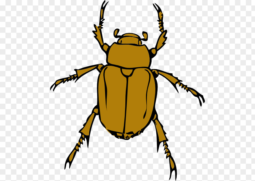 Gtx Cliparts Beetle Free Content Clip Art PNG