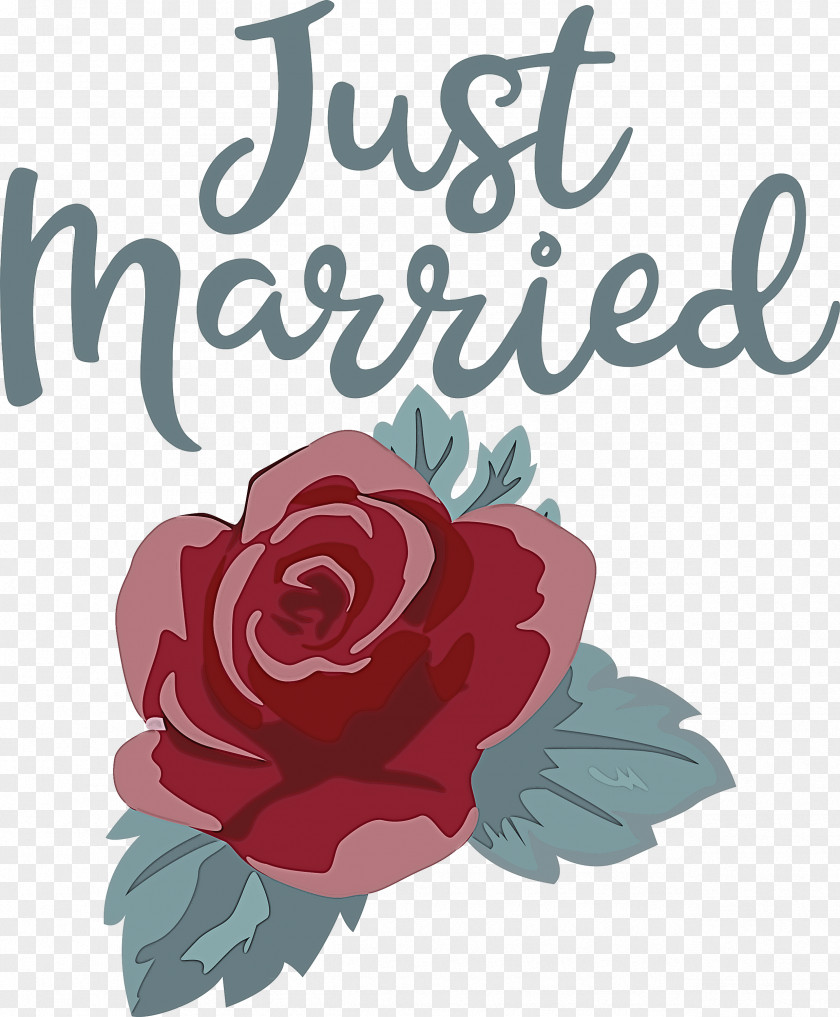 Just Married Wedding PNG