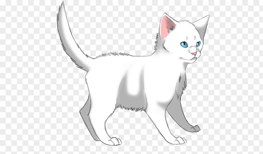 Kitten Whiskers Domestic Short-haired Cat Warriors PNG