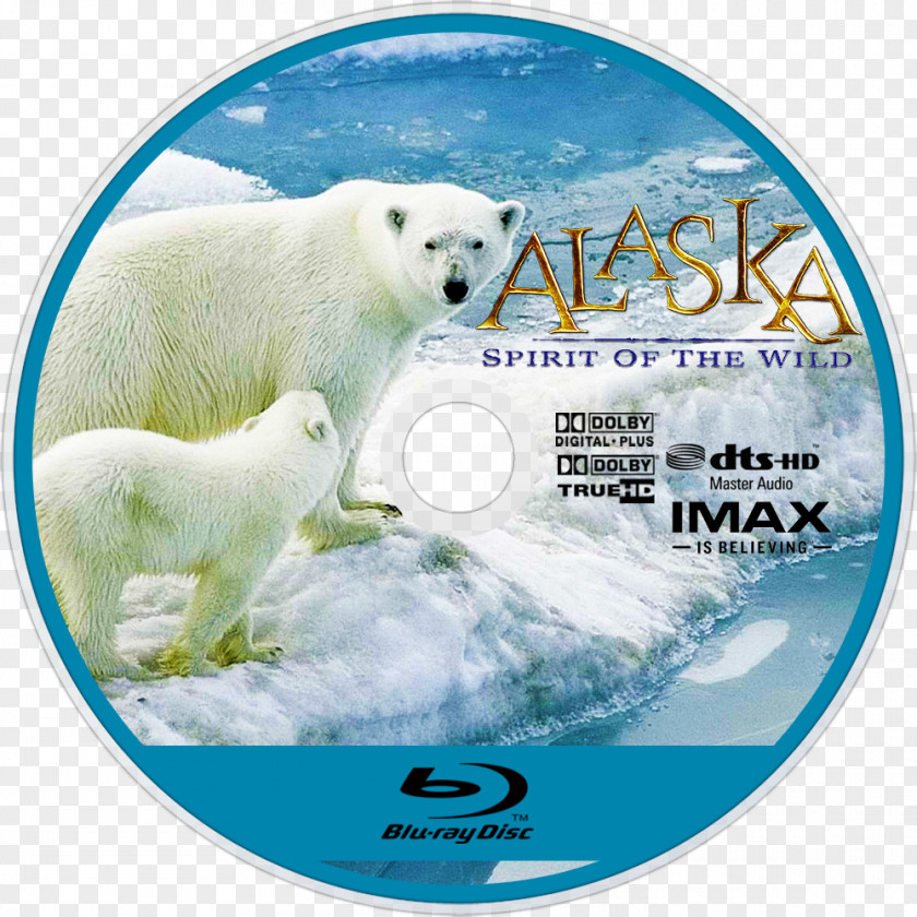 Polar Bear Blu-ray Disc 09738 Ice Cap PNG