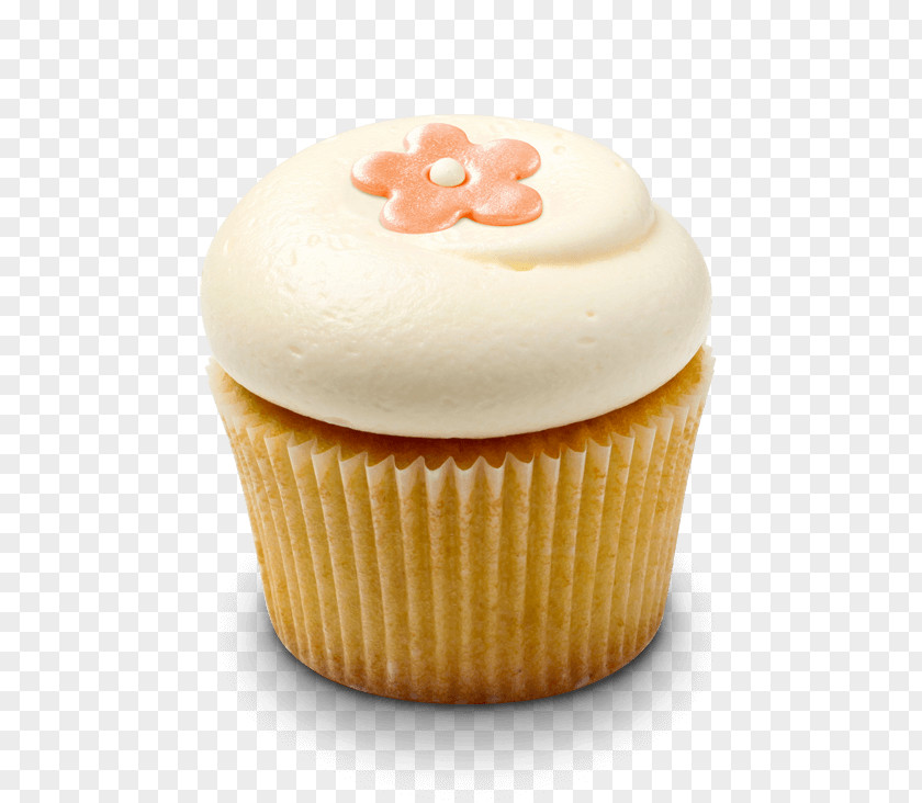 Birthday National Park Service Cake Cupcake PNG