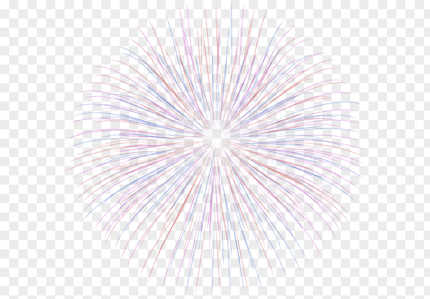 Flocks Of Fireworks Pyrotechnics Photography Fire PNG