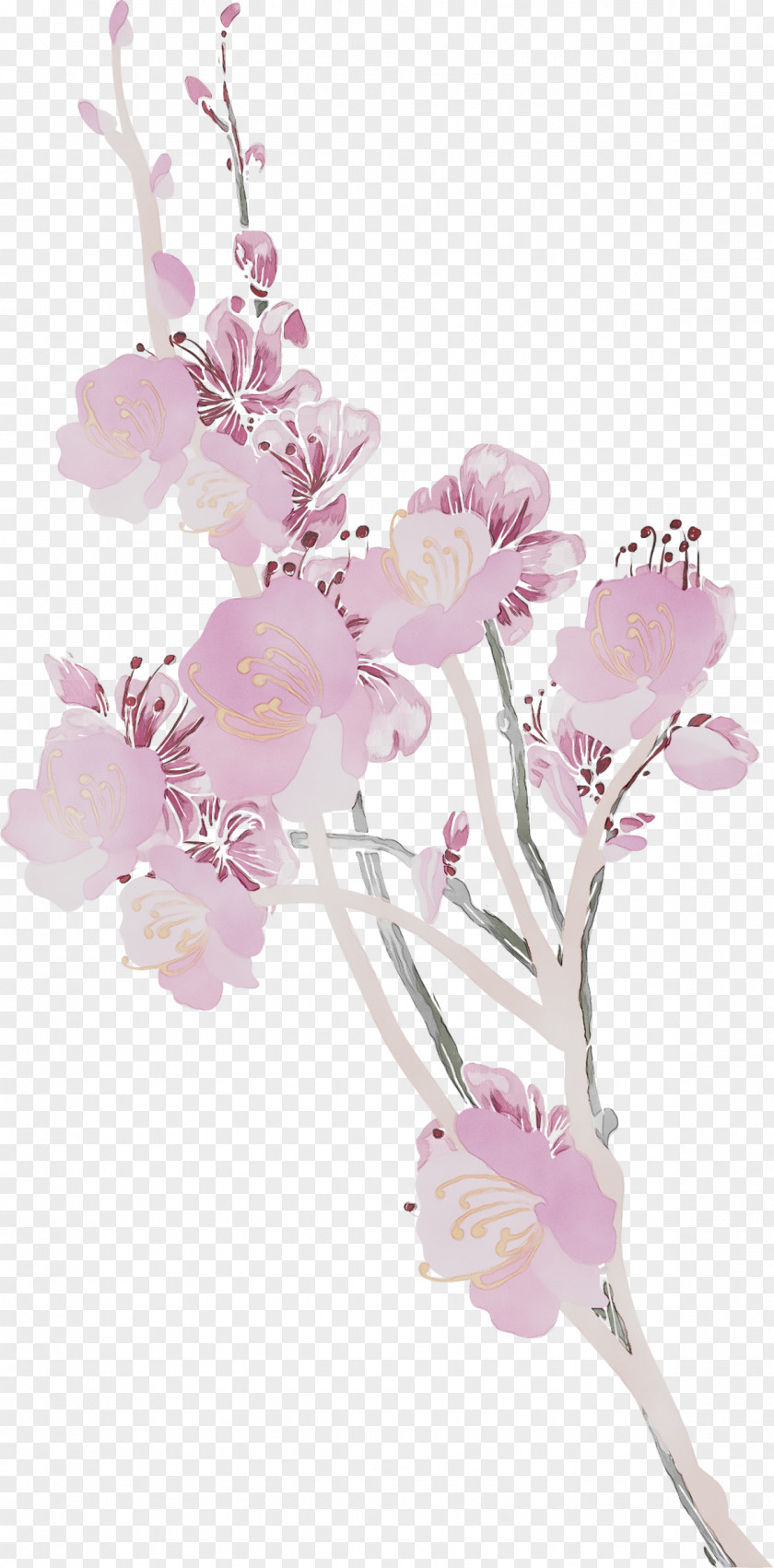 Floral Design Cut Flowers ST.AU.150 MIN.V.UNC.NR AD Blossom PNG