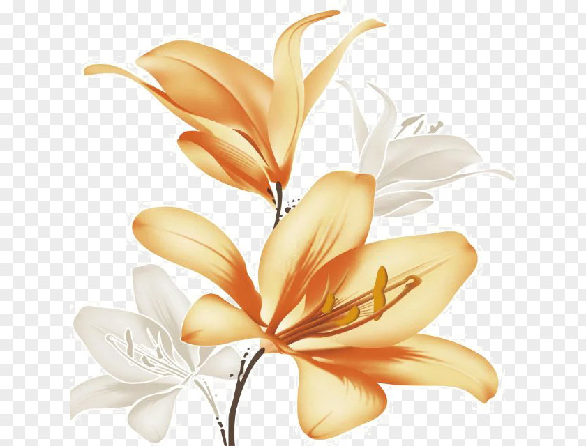 Hand-painted Lily Lilium White PNG