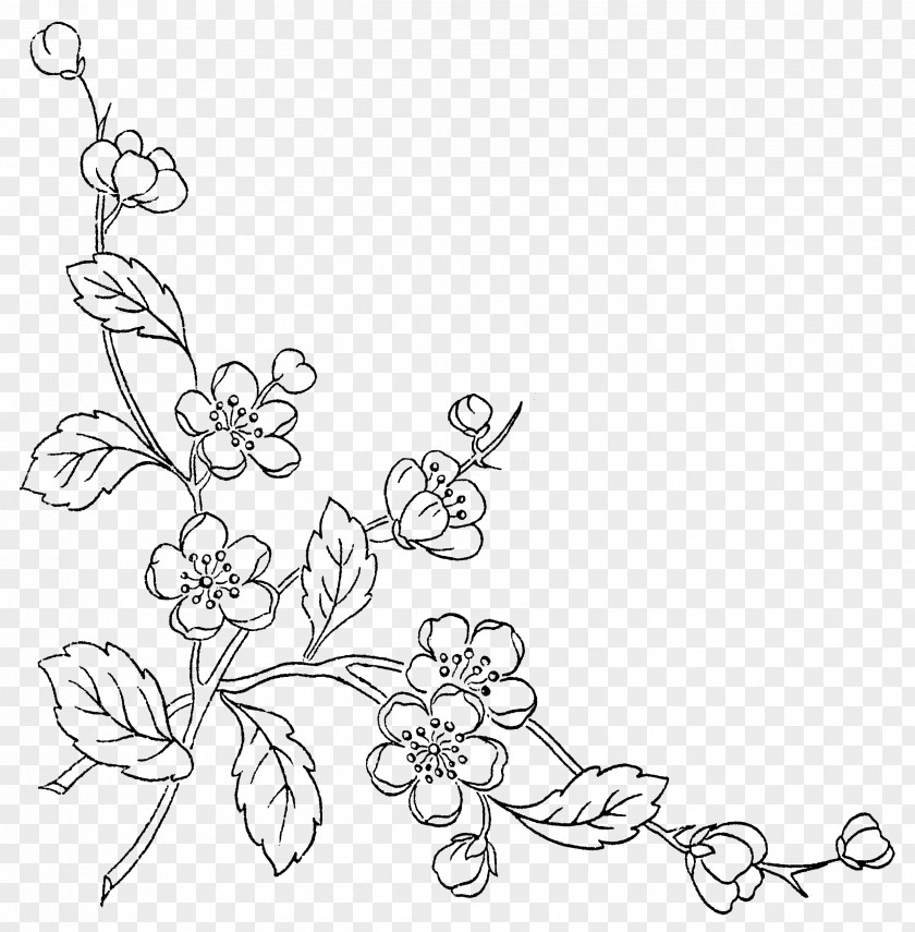 Sketch Of Flowers PNG