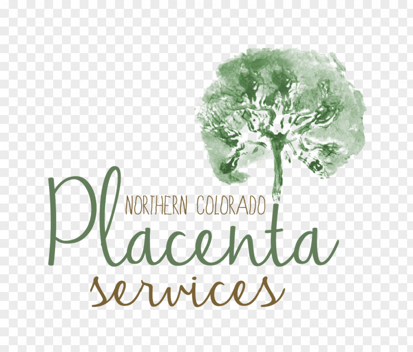 Young Living Vendor Booth Logo Brand Font Tree PNG