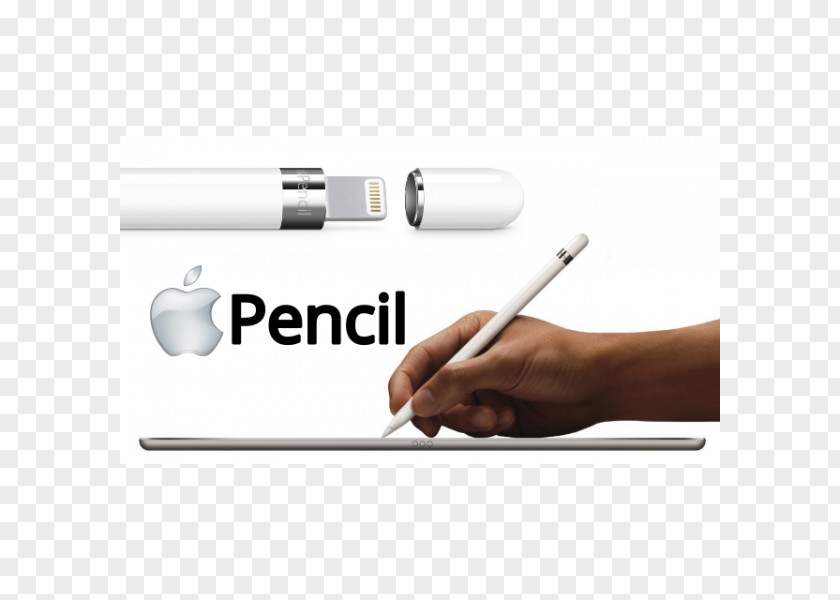 Apple Pencil IPad Stylus Computer PNG