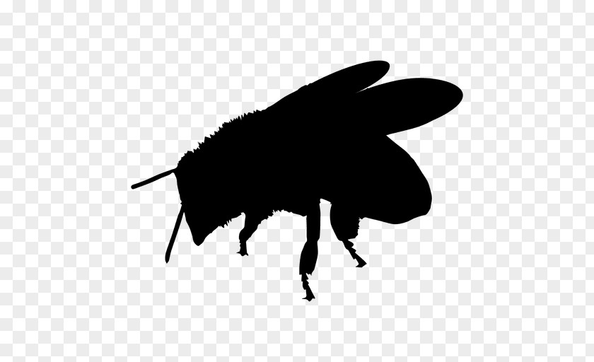 Bee Fly Insect Pollinator Vexel PNG