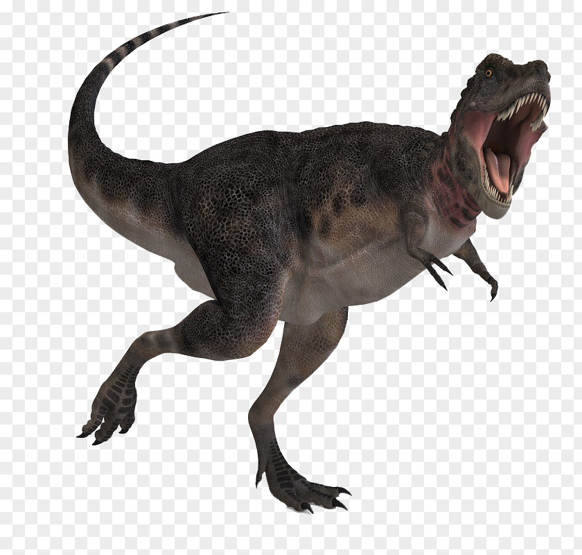 Dinosaur Tarbosaurus Royalty-free Stock Photography Illustration PNG