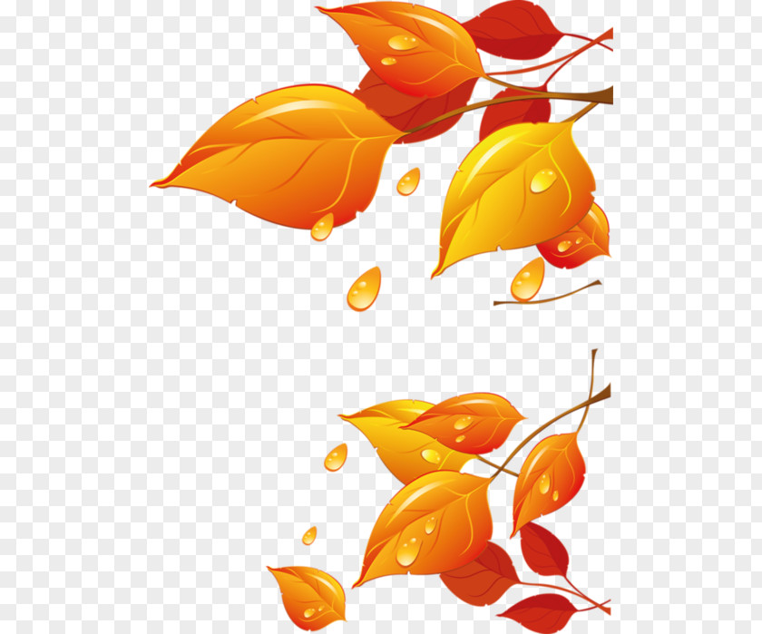 Leaf Vector Graphics Clip Art Image Raster PNG