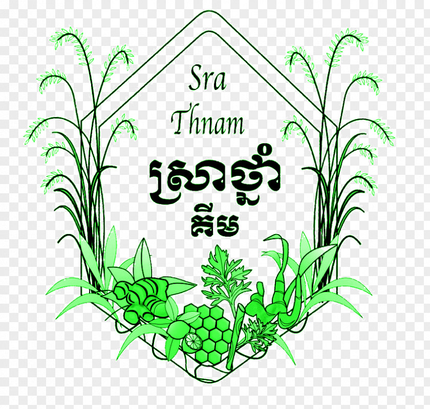 Scenic Images Of Peace And Serenity Sra Thnam House Clip Art Grasses Medicinal Plants Plant Stem PNG