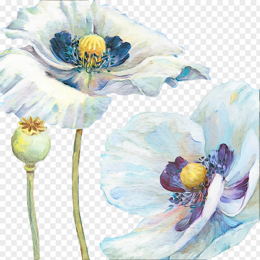 Anemone Petal Blue Watercolor Flowers PNG