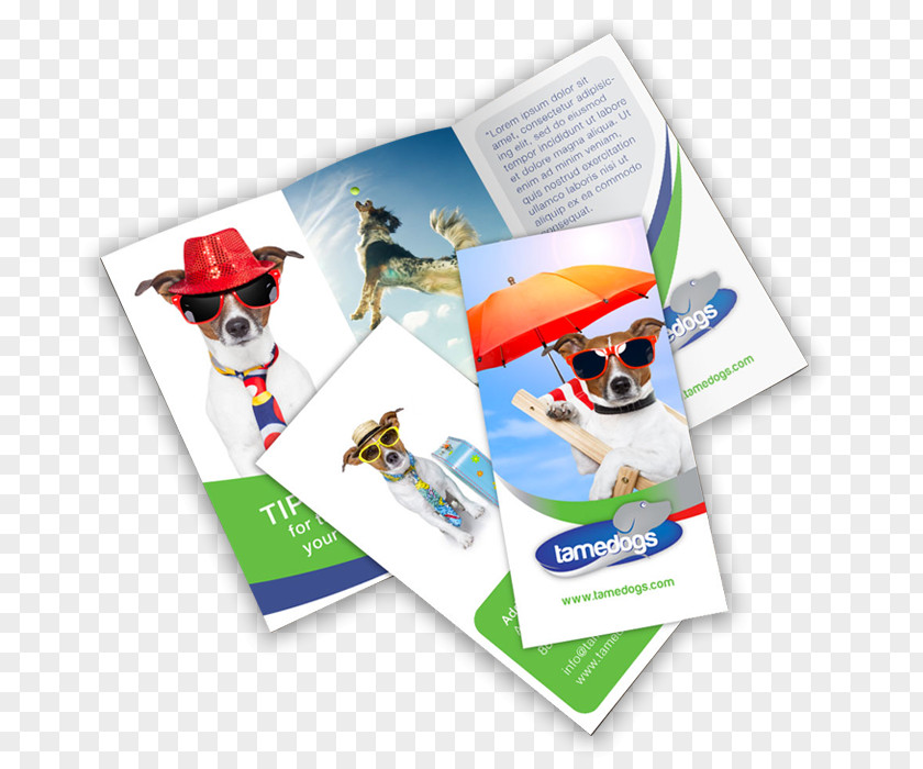 Design Advertising Brochure Printing Folded Leaflet PNG
