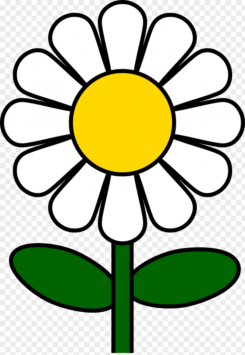 Flower Clip Art Common Daisy PNG