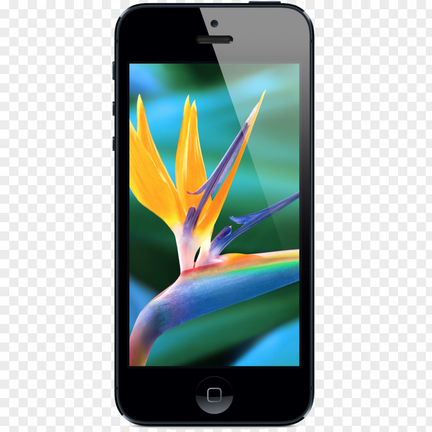 Iphone Apple IPhone 5s 4S 5c PNG
