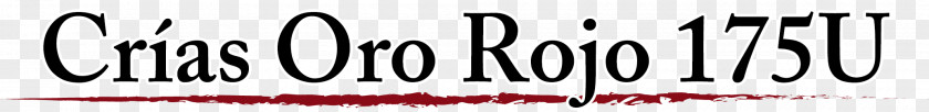 Red Web Website Logo Font Brand Eyelash Line PNG