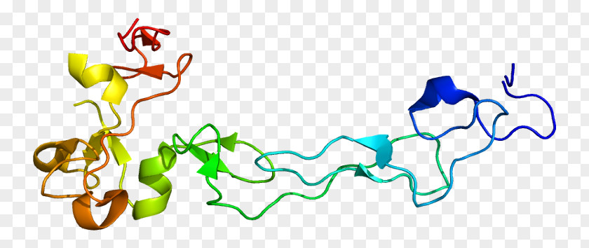 ADAM10 Alpha Secretase Protein Disintegrin PNG