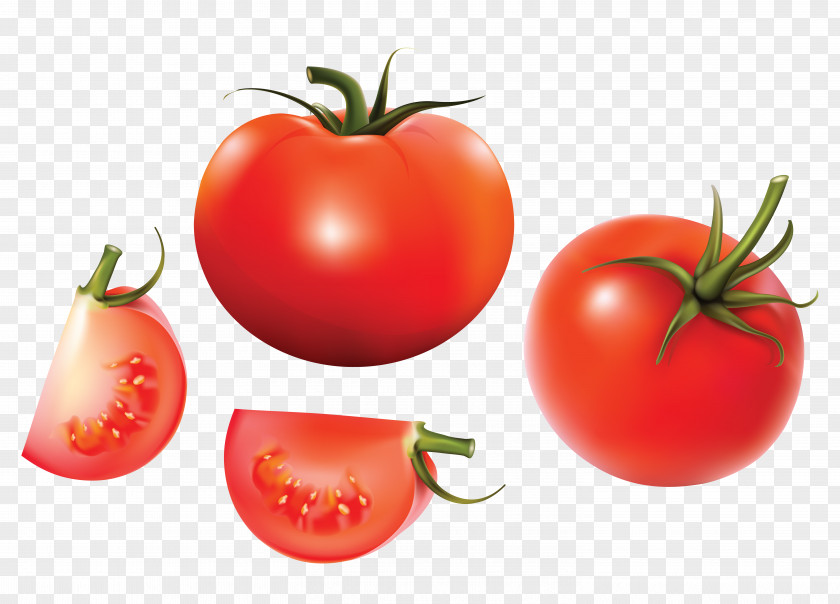 Cartoon Tomatoes Tomato Soup Euclidean Vector Vegetable PNG