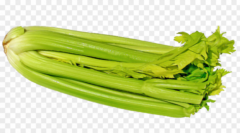 Celery Smoothie Juice Food Health Shake PNG