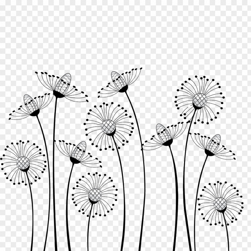 Dandelion Flower Cartoon Black And White Drawing Clip Art PNG