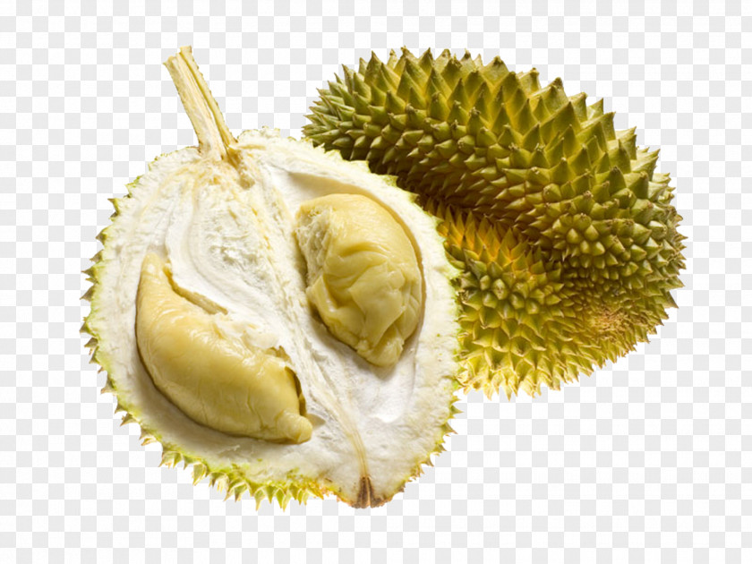 Durian Fruit Products In Kind Durio Zibethinus Thai Cuisine Tropical Flavor PNG