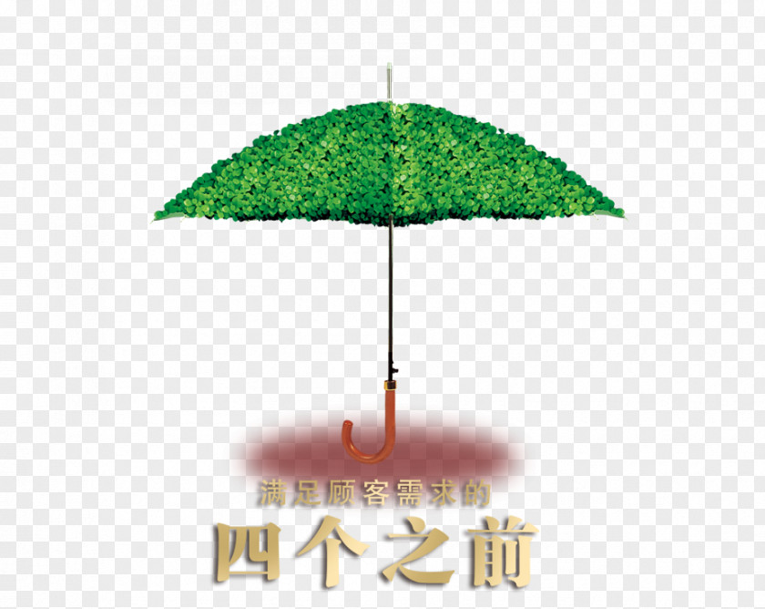 Green Umbrella PNG