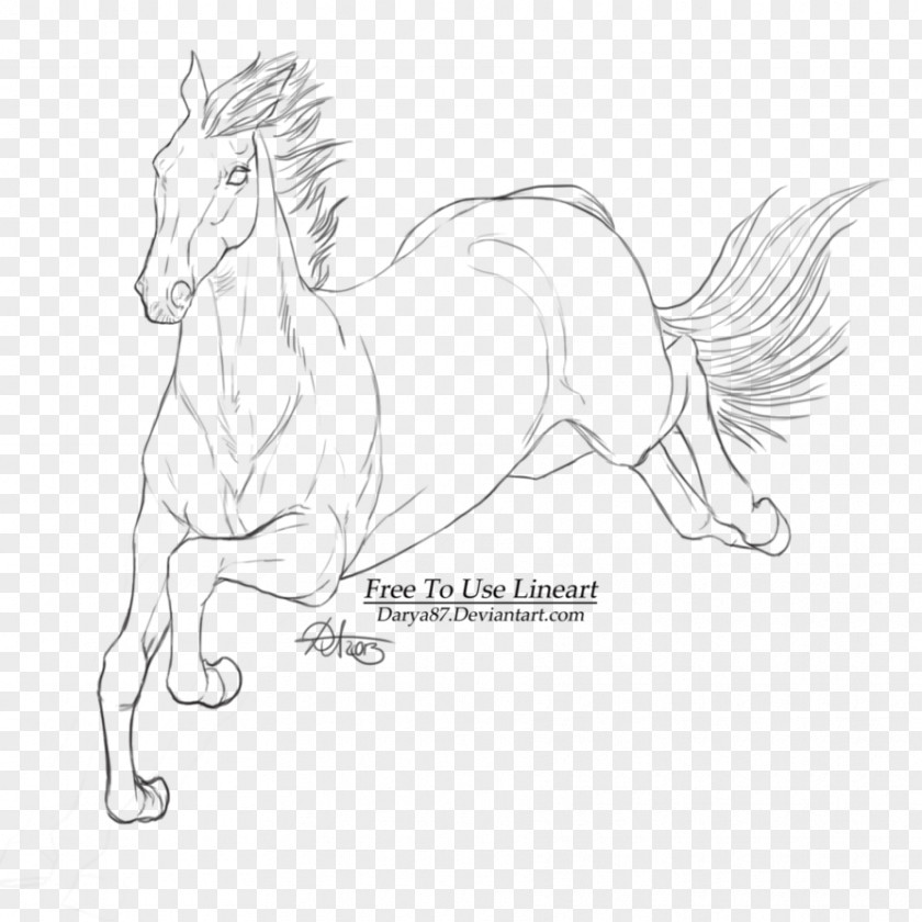 Horse DeviantArt Line Art Sketch PNG