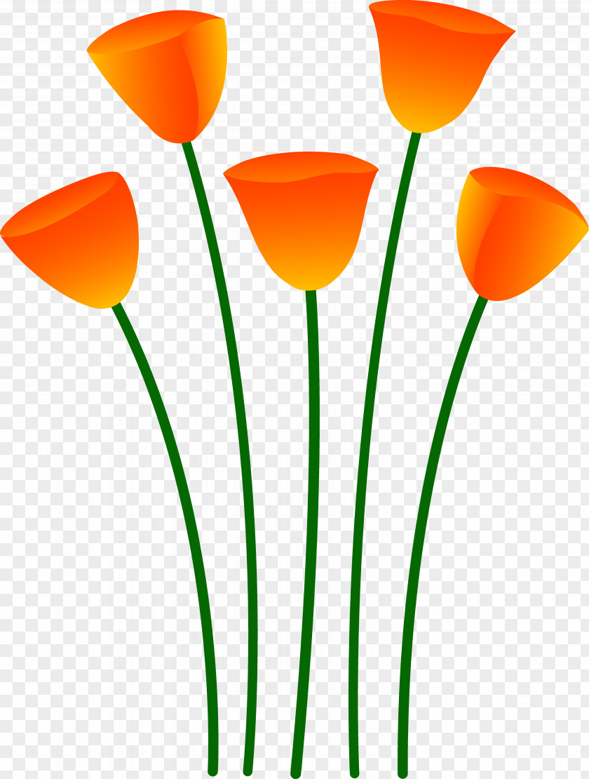 Orange Flower Clipart Poppy Clip Art PNG