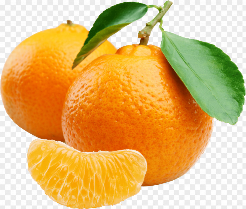 Orange Juice Mandarin Tangerine Chenpi Clementine PNG