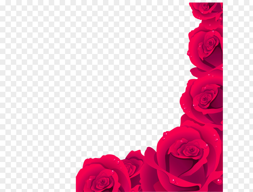 Red Fresh Bones Border Texture Rose Royalty-free Clip Art PNG