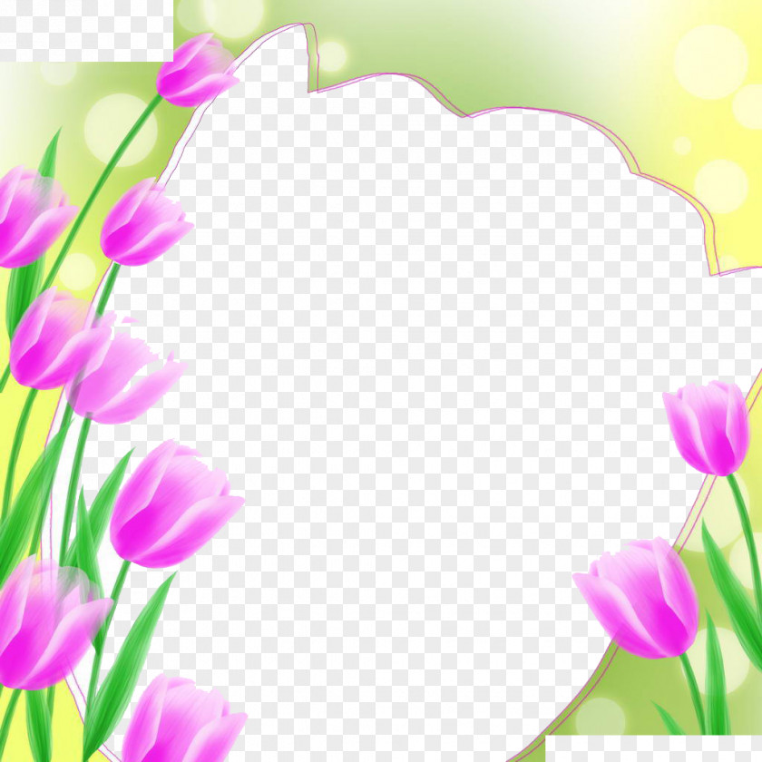 Tulip Picture Frame Flower Illustration PNG