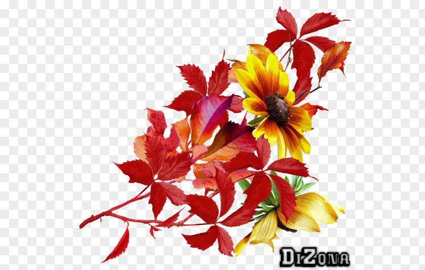 Autumn Border Floral Design Clip Art Image PNG