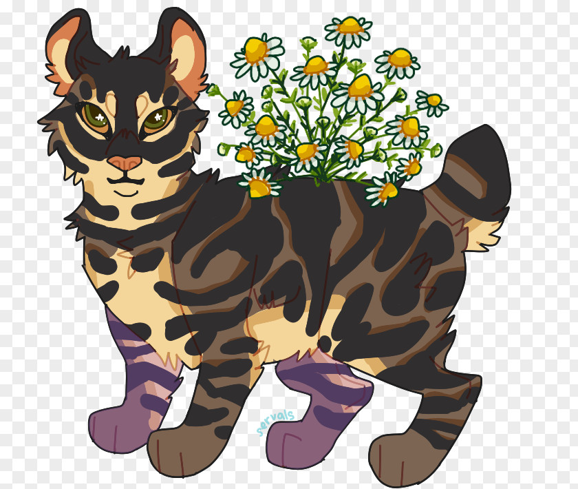 Cat Whiskers Tiger Art PNG
