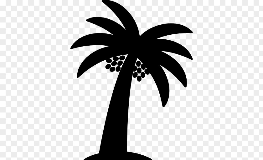 Date Palm Arecaceae Logo PNG