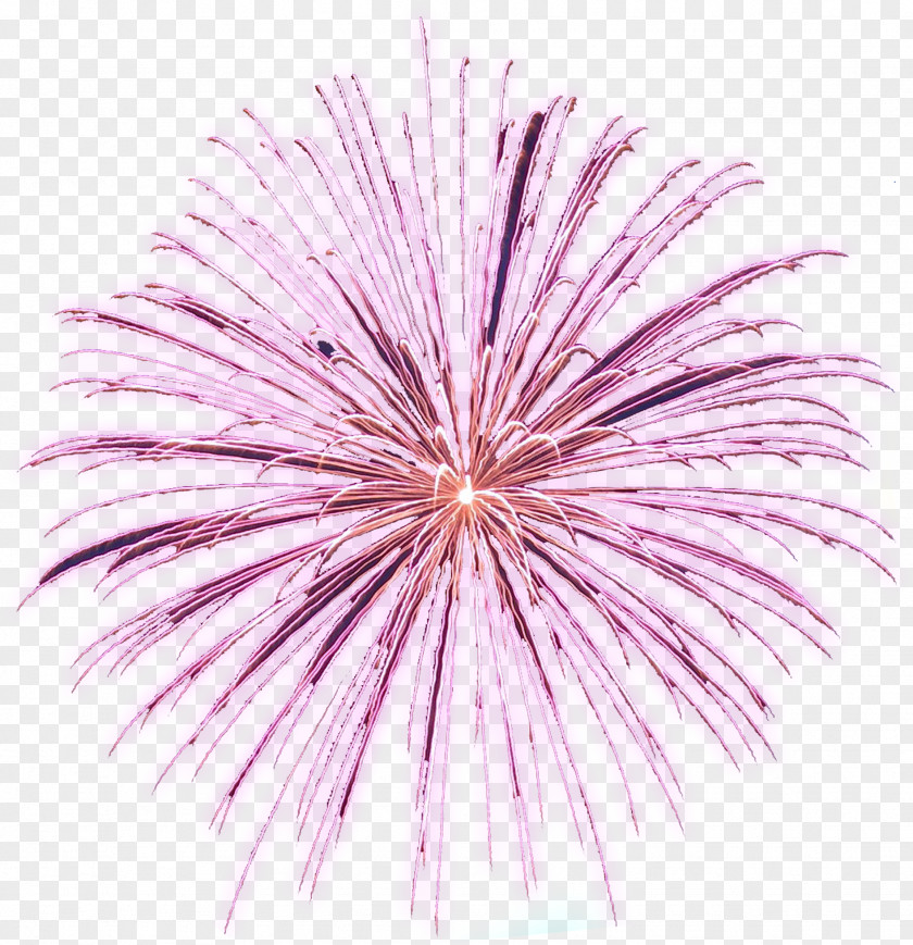 Diwali Adobe Fireworks Clip Art PNG