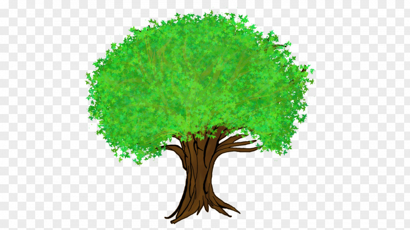 Family Tree Cartoon Forest PNG