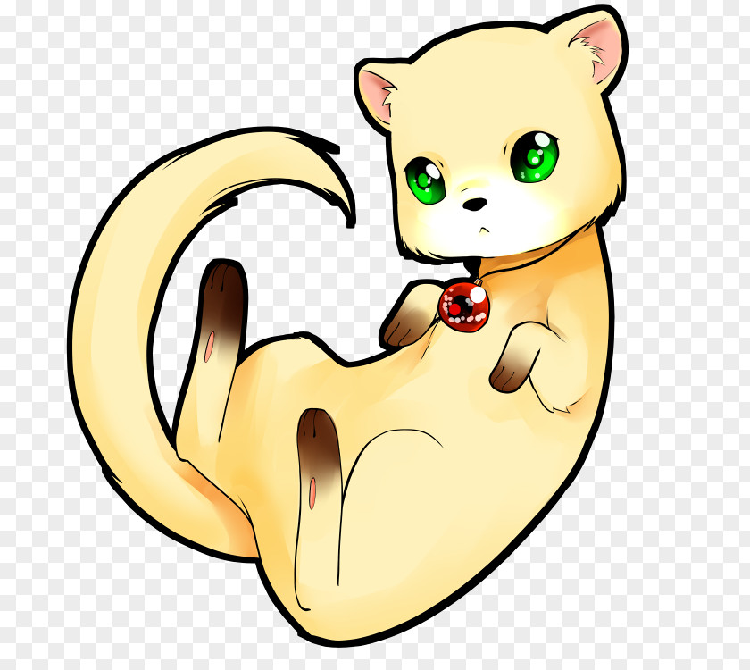 Ferret Stoat Black-footed Polecat-ferret Hybrid Drawing PNG