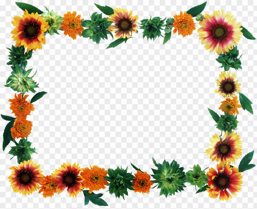 Flower Frame Picture Frames PNG