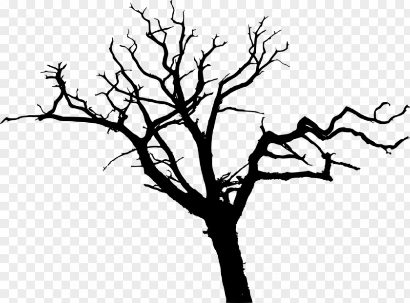 Tree Clip Art PNG