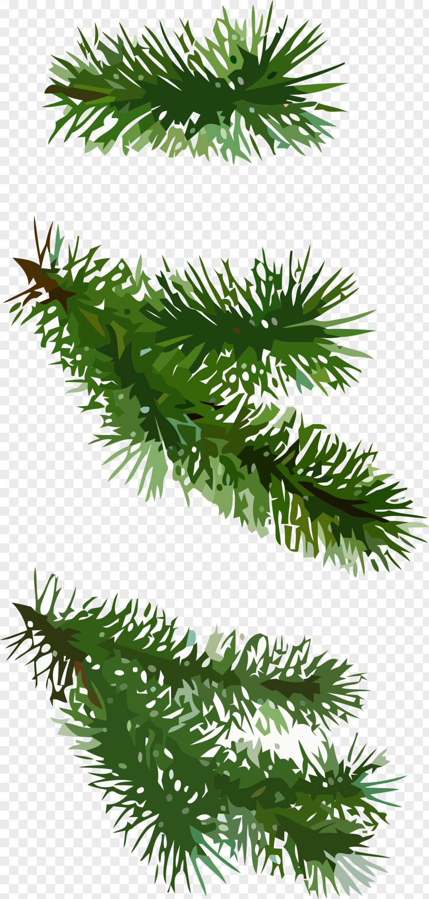 Tree Plant Christmas Pine PNG