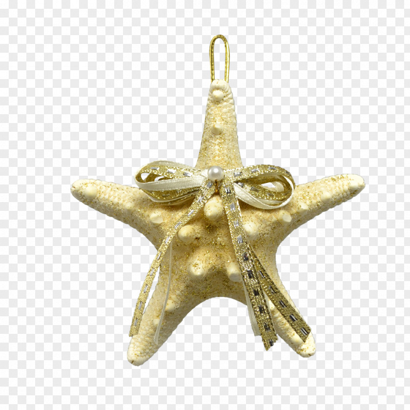 White Starfish Christmas Ornament 01504 Silver PNG