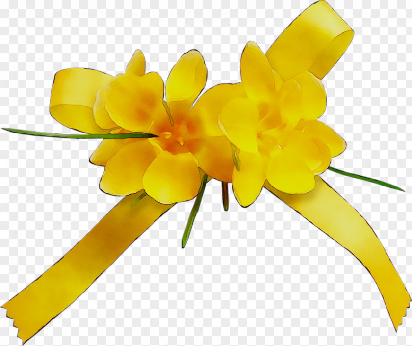 Yellow Cut Flowers Plant Stem Flowering PNG