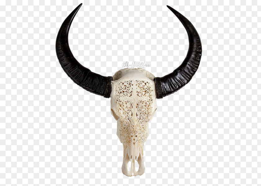 Buffalo Skull Cattle Décoration Furniture Decorative Arts PNG