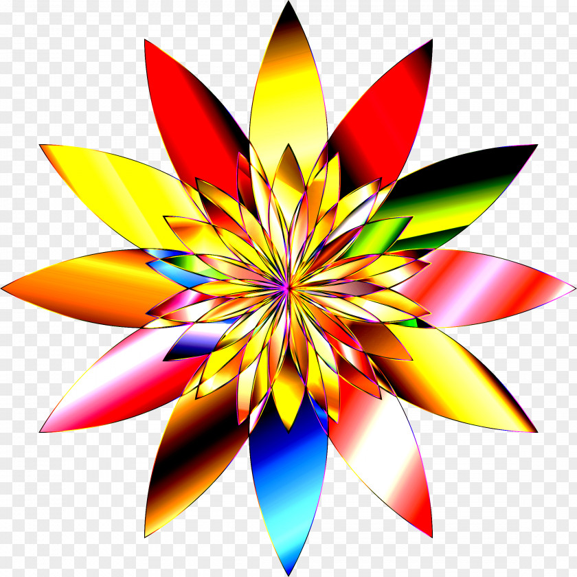 Petal Flower Symmetry Plant PNG