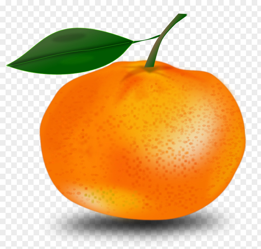 Pictures Of Oranges Orange Free Content Clip Art PNG