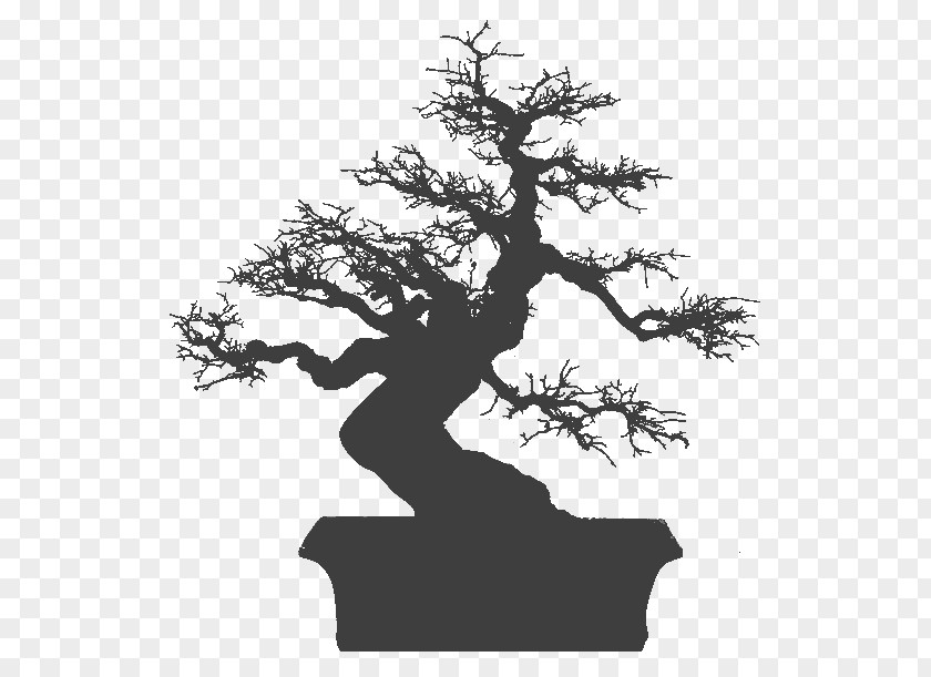 Tree National Bonsai Foundation Apple IPhone 7 Plus 6 盆栽世界 PNG